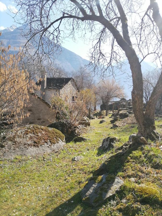 Casa Belgeri - Bed & Breakfast Dongio Kültér fotó