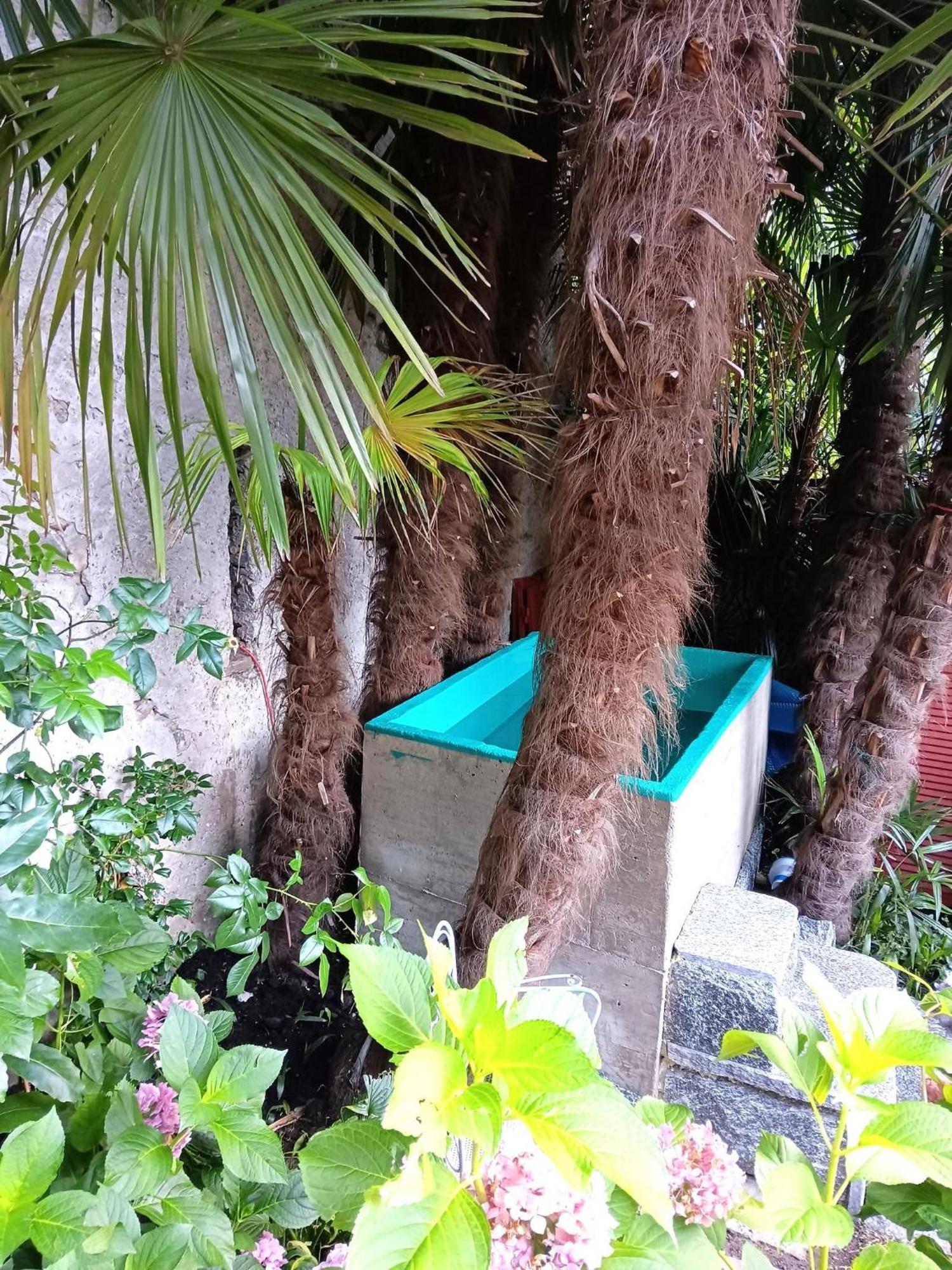 Casa Belgeri - Bed & Breakfast Dongio Kültér fotó
